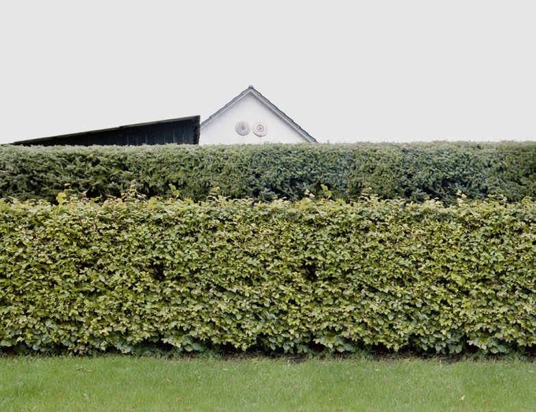 http://www.anninalingens.de/files/gimgs/th-8_3.jpg